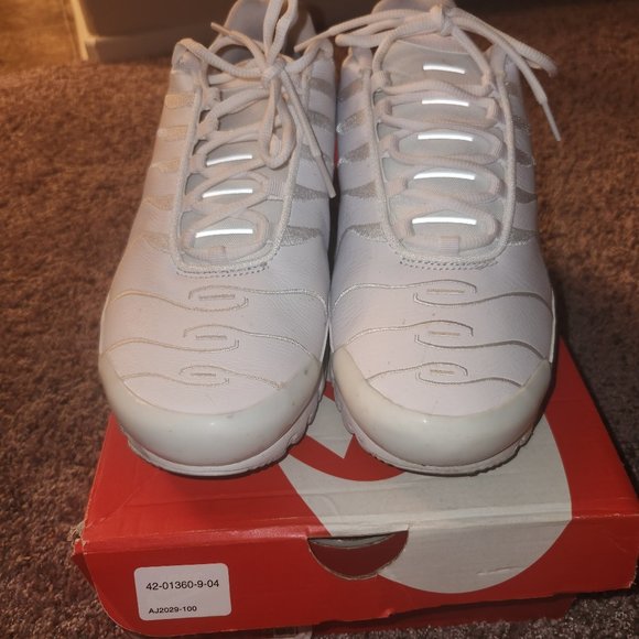 Nike air max plus